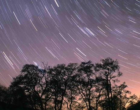 Dark Skies over Whinlatter Forest in the Lake District, Cumbria