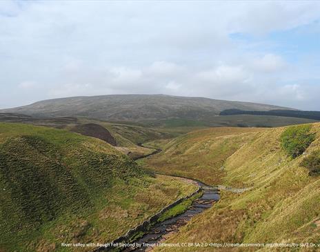 Baugh Fell and Knoutberry Hill