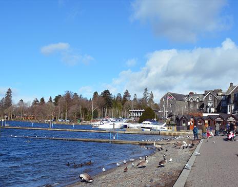 Bowness