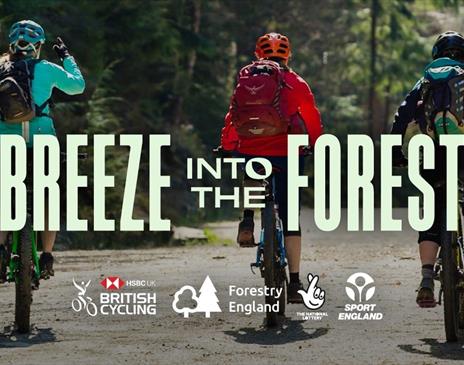 Breeze into the Forest for e-bikes - Gorse Trail