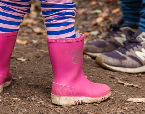 Festive welly walk at Whinlatter Forest in the Lake District, Cumbria