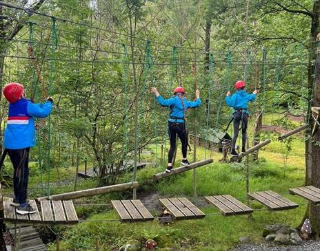 Visitors on a high rope course at Newlands Adventure Centre in the Lake District, Cumbria
