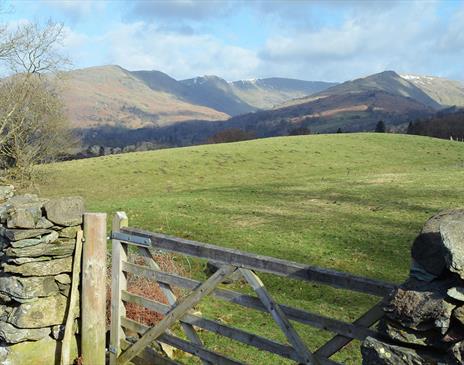 Fairfield Horseshoe