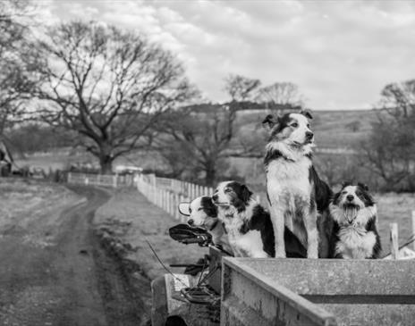 Farm Photography Tour