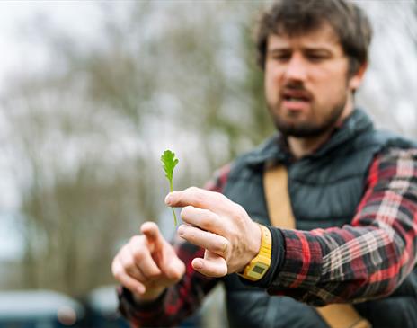 TASTER Foraging Workshop in Kirkby Lonsdale