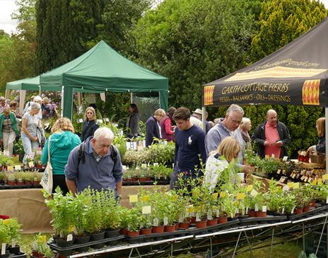 Dalemain Plant Fair