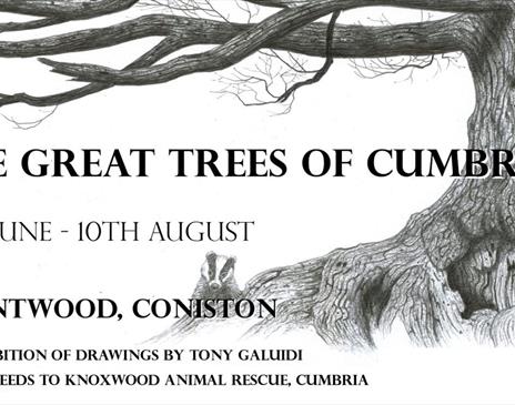 The Great Trees of Cumbria