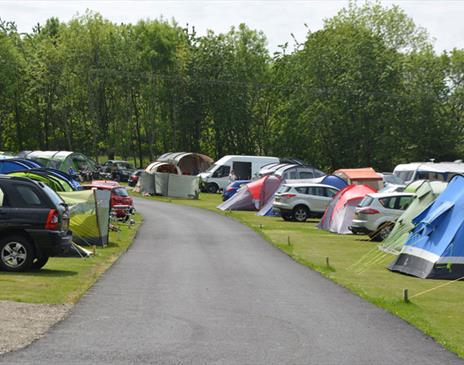 Camping pitches at Hillcroft Park Holiday Park in Pooley Bridge, Lake District