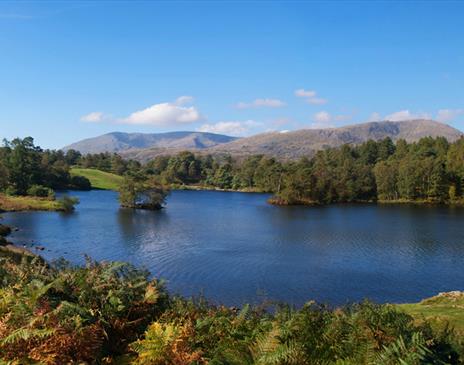 A photo of a lake in Cumbria