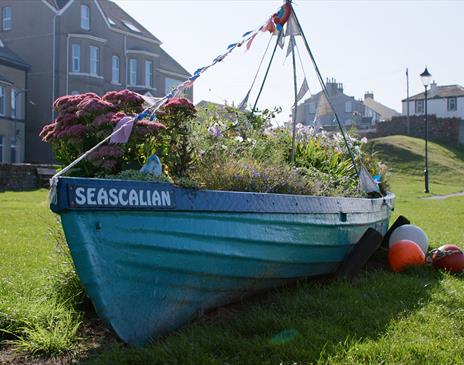 Seascale, photo: adamediafilm.com