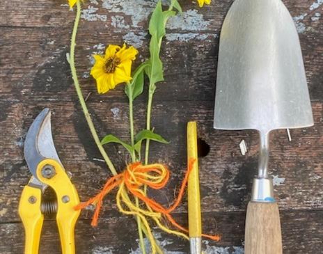 'Gardening for the Terrified' short course with Shelagh Todd - lecturer, garden designer & plantswoman