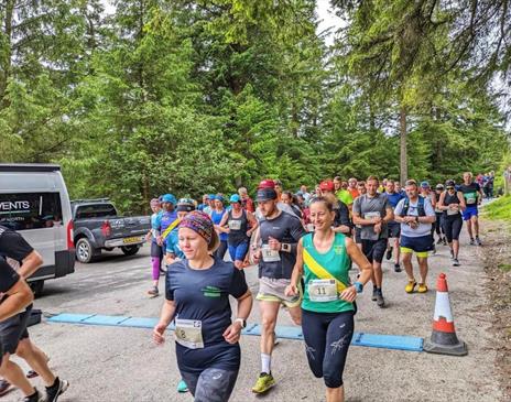 A group of runners in a forest