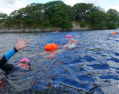Swim to Wild Cat Island
