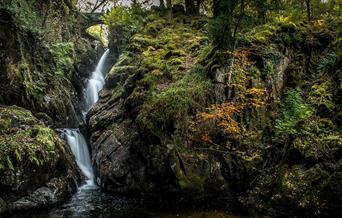 Beautiful natural scenery at Aira Force Waterfall in Matterdale, Lake District © National Trust Images, John Malley