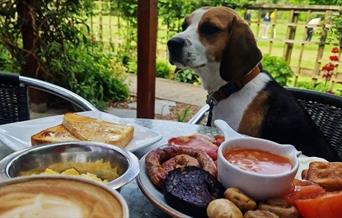 Dog and Full English Breakfast at Cafe Hope in Keswick, Lake District