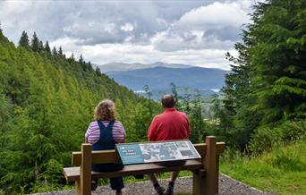 Couple Sitting on a Bench on the Wow Trail at Whinlatter Forest in the Lake District, Cumbria