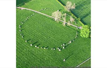 Long Meg and her daughters, by Simon Ledingham