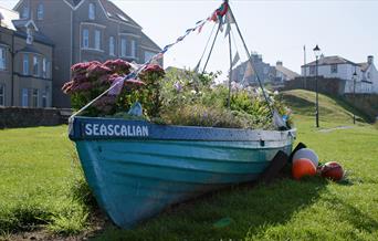 Seascale, photo: adamediafilm.com