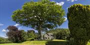 Grounds at Hazel Bank Country House Hotel in Rosthwaite, Lake District