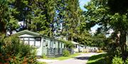 Lush surroundings at Newby Bridge Country Caravan Park in Newby Bridge, Lake District