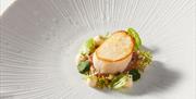 A dish at SOURCE at Gilpin Hotel & Lake House © Andre Ainsworth