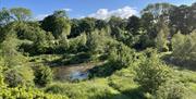 Pond area at Crumble Cottages near Cartmel, Lake District