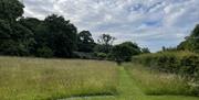 Wildflower meadow near Crumble Cottage at Crumble Cottages near Cartmel, Lake District