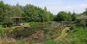 Pond & Summer House Retreat at Southwaite Green Farm near Cockermouth, Cumbria