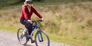 Cycling in Grizedale Forest