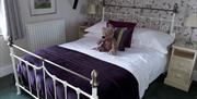 Double bedroom at Denehurst Guest House in Windermere, Lake District