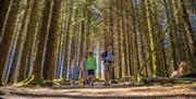 Family trails at Whinlatter Forest