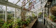 Inside the Greenhouse at The Peter Rabbit Garden at The World of Beatrix Potter in Bowness-on-Windermere, Lake District