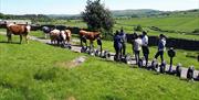 Visitors enjoying an experience with Lakeland Segway in Cartmel, Lake District