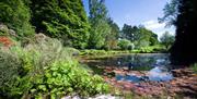 Garden at Lindeth Fell Country House in Windermere, Lake District