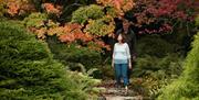 Walking routes at Sizergh Castle, Lake District © National Trust Images