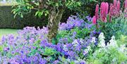 Gardens in Bloom at Hutton-in-the-Forest Historic House near Penrith, Cumbria