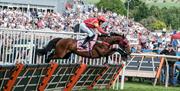 Cartmel Racecourse in Cartmel, Cumbria