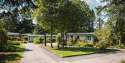 Holiday homes for sale at Newby Bridge Country Caravan Park in Newby Bridge, Lake District