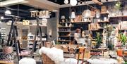 Home Shop at Rheged in Penrith, Cumbria