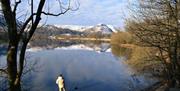 Lake District Scenery on the William Wordsworth Day Tour with Avanti Ventures in Grasmere, Lake District