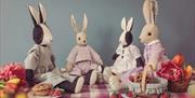 Rabbit plushies from CoolCrafting in Kendal, Cumbria