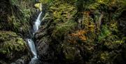 Beautiful natural scenery at Aira Force Waterfall in Matterdale, Lake District © National Trust Images, John Malley