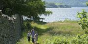 Beautiful walks at Aira Green in Matterdale, Lake District © National Trust Images, Paul Harris