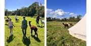 Alpaca Walks and Experiences at All About Alpacas in Cartmel, Cumbria