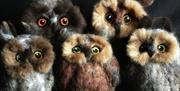 Crafted Owls at Quirky Workshops at Greystoke Craft Garden & Barns in Penrith, Cumbria
