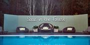 Aqua Sana Forest Spa Whinfell Pool