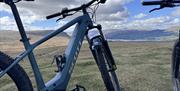 Mountain Bike from Arragon's Cycle Hire at Lowther Castle in Penrith, Cumbria