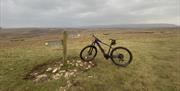 A Mountain Bike from Arragon's Cycle Hire at Lowther Castle in Penrith, Cumbria