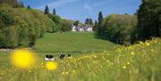 View to Merlewood main house