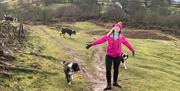 Woman on a Walk with Dogs near Autumn Cottage at Helm Mount Cottages in Barrows Green, Cumbria